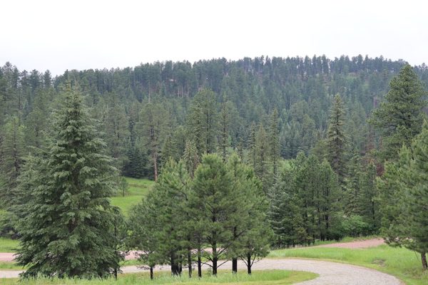 View over the valley