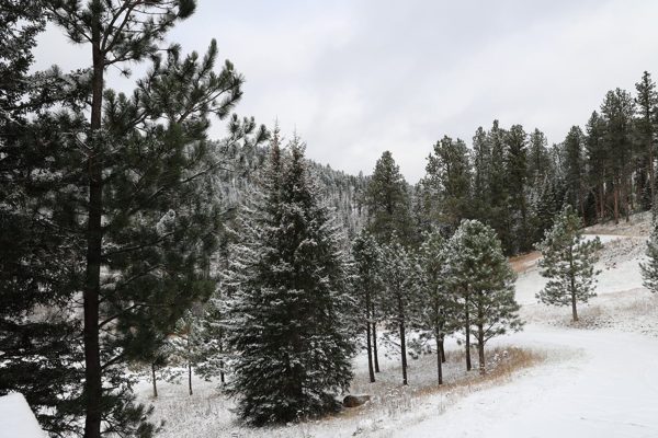 Winter view from the property