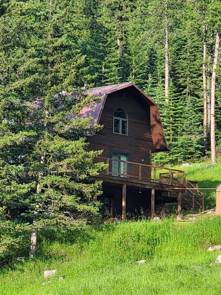 Cabin among the pines
