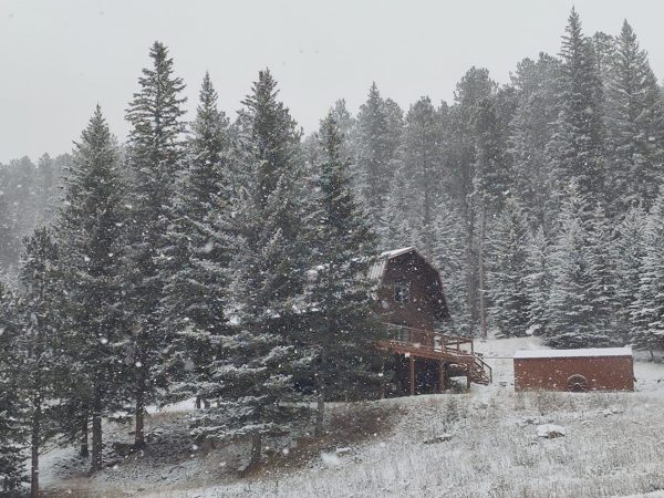 Cabin in winter
