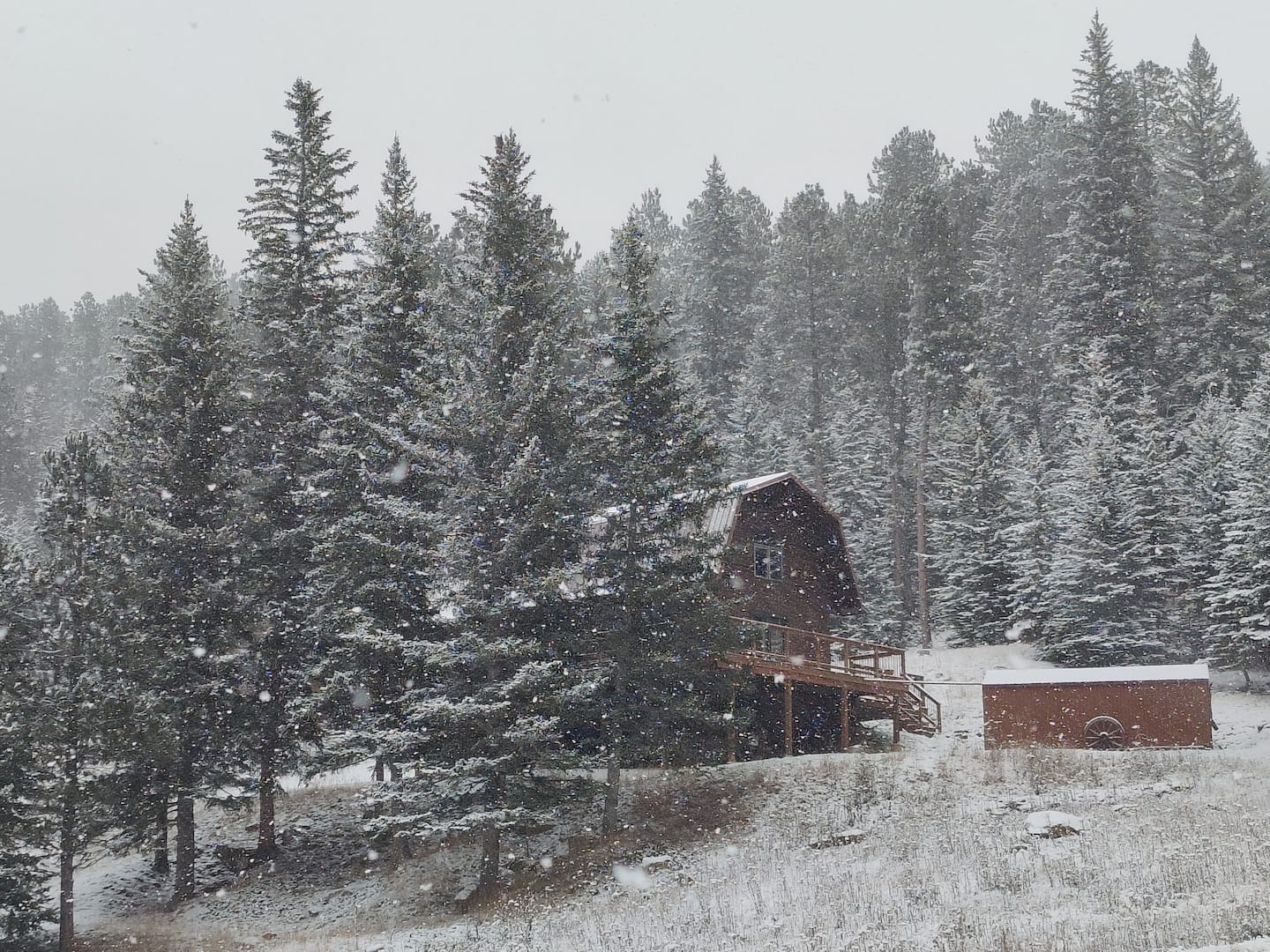 Rustic Creek Cabin nestled among snow-covered pine trees