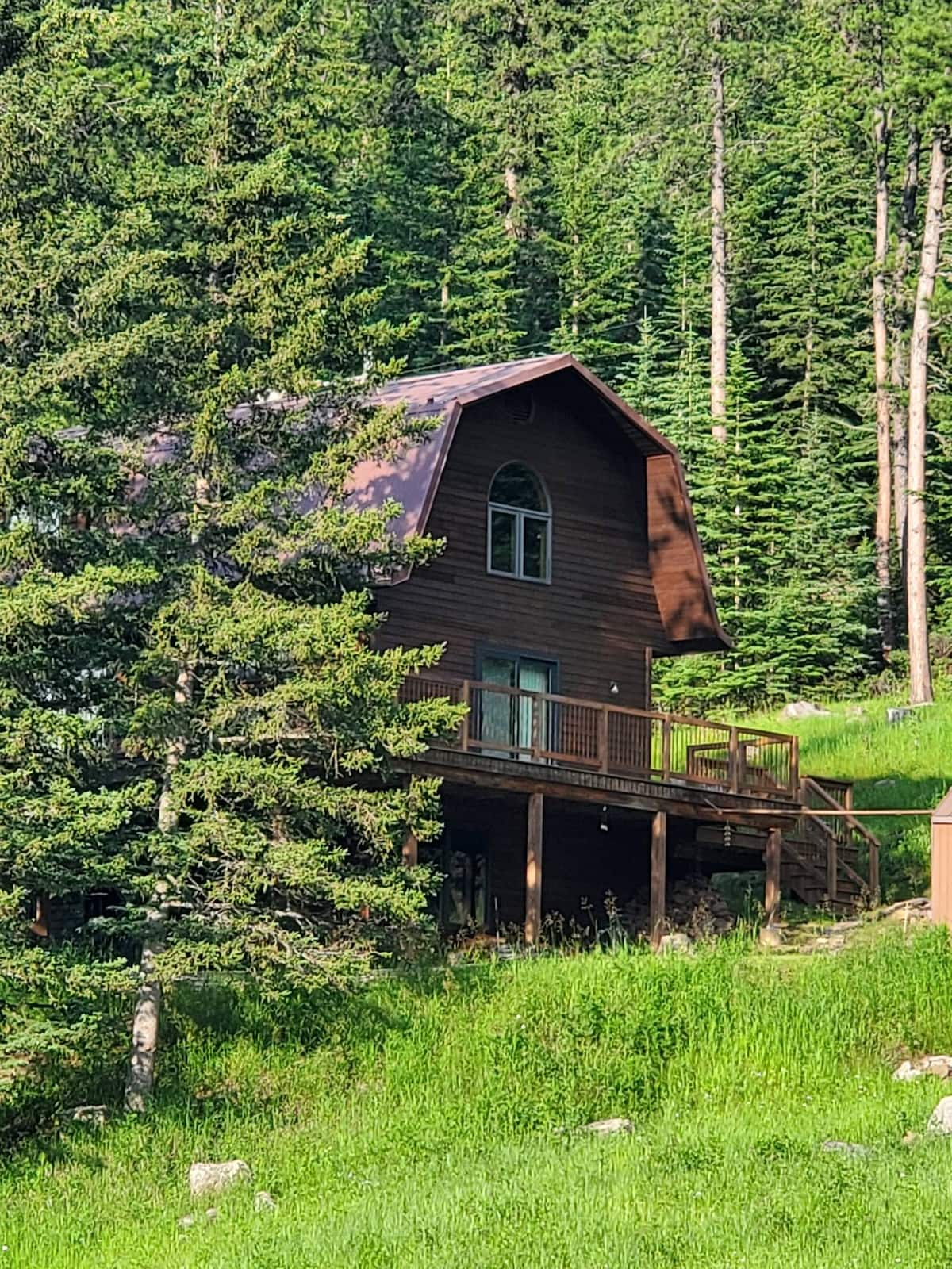 Cabin tucked into pine trees on a green hillside